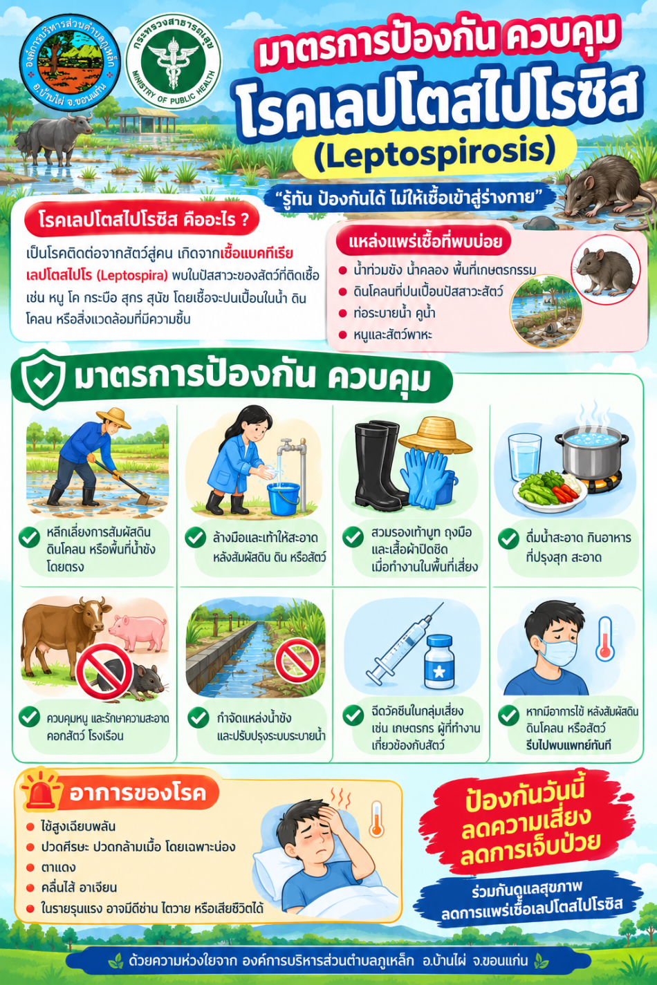 มาตรการป้องกัน ควบคุม โรคเลปโตสไปโรซิส (leptospirosis)